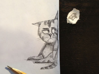 cat hunting