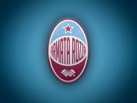 Soccer Logo