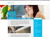 Skymark-dribbble_teaser