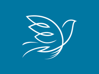 Dove_dribbble_teaser