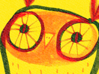 Colour_owl_teaser