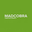 Madcobra.Creative