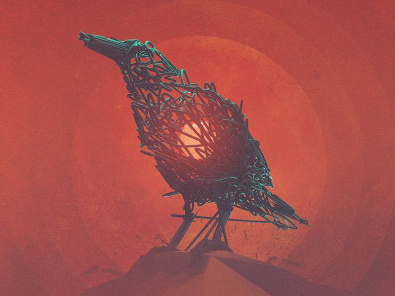 Crow_drib