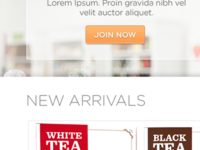 Product List Page Snippet 2