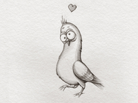 Pigeon_teaser