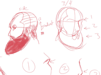 Beard
