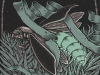 Firefly