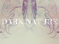 Dndribbble_teaser