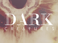 Dndribbble2_teaser
