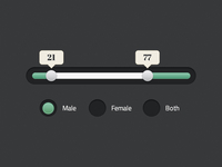 Age Range Slider