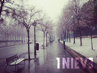 1Nieve