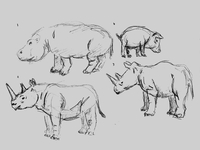 Animals