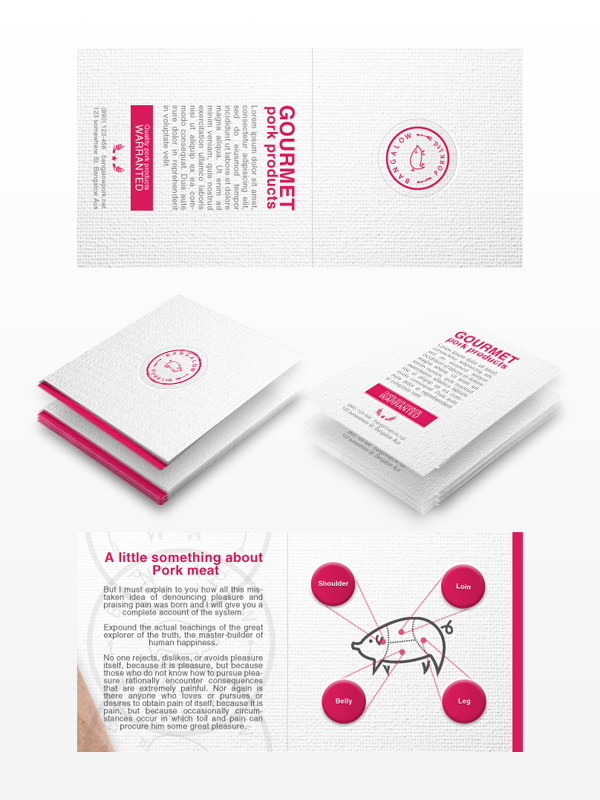 Flyer2