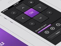Roku Remote