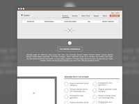 Vodori Products Page