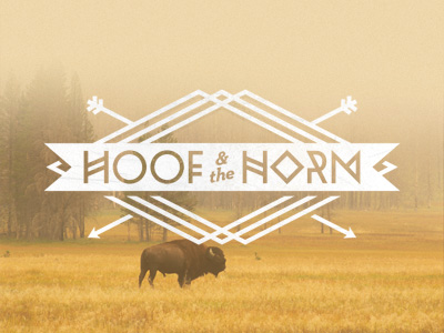 hoof horn