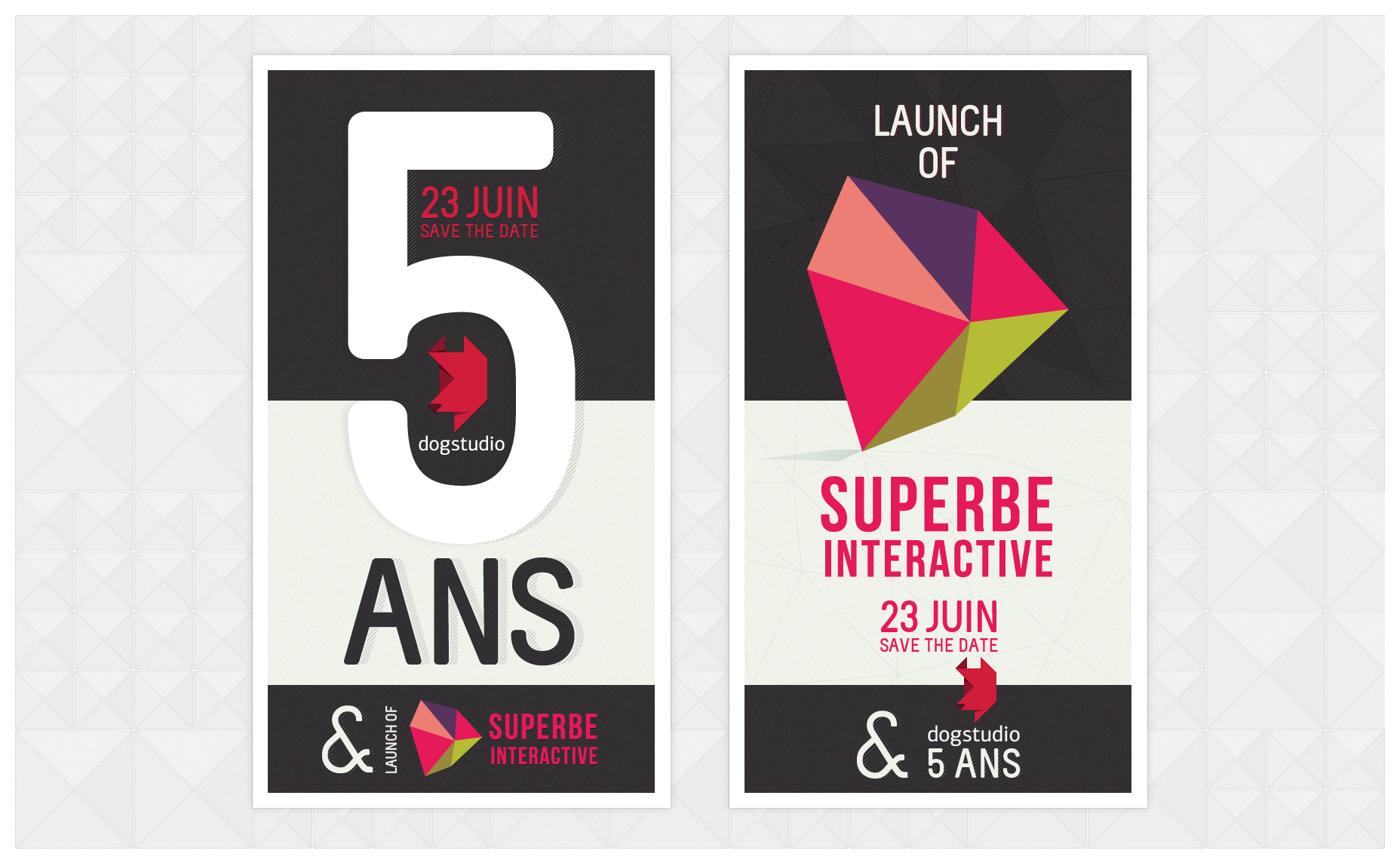 5_ans_dogstudio_newsletters