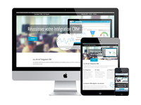 Consultantcrm-rwd_teaser