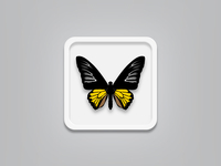 Butterfly_vec_teaser