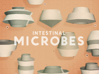 Intestinal microbes (for a children's anatomy app)