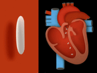 Heart (for an ios children's app)