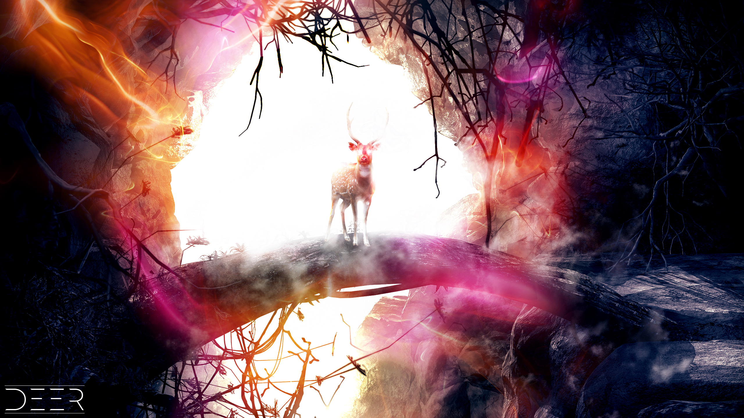 Deer2