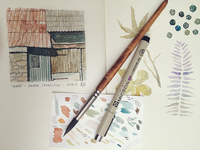 Watercolor