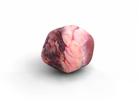 a piece of digital meat