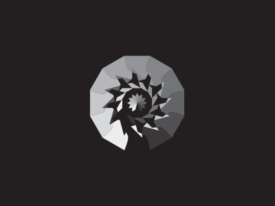 Shockjoy_d_-spinner_v6
