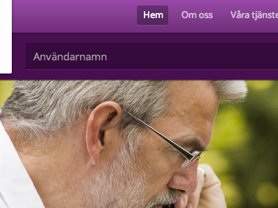 Login form