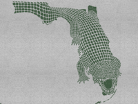 Fl_gator_teaser