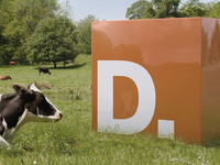 D Cube