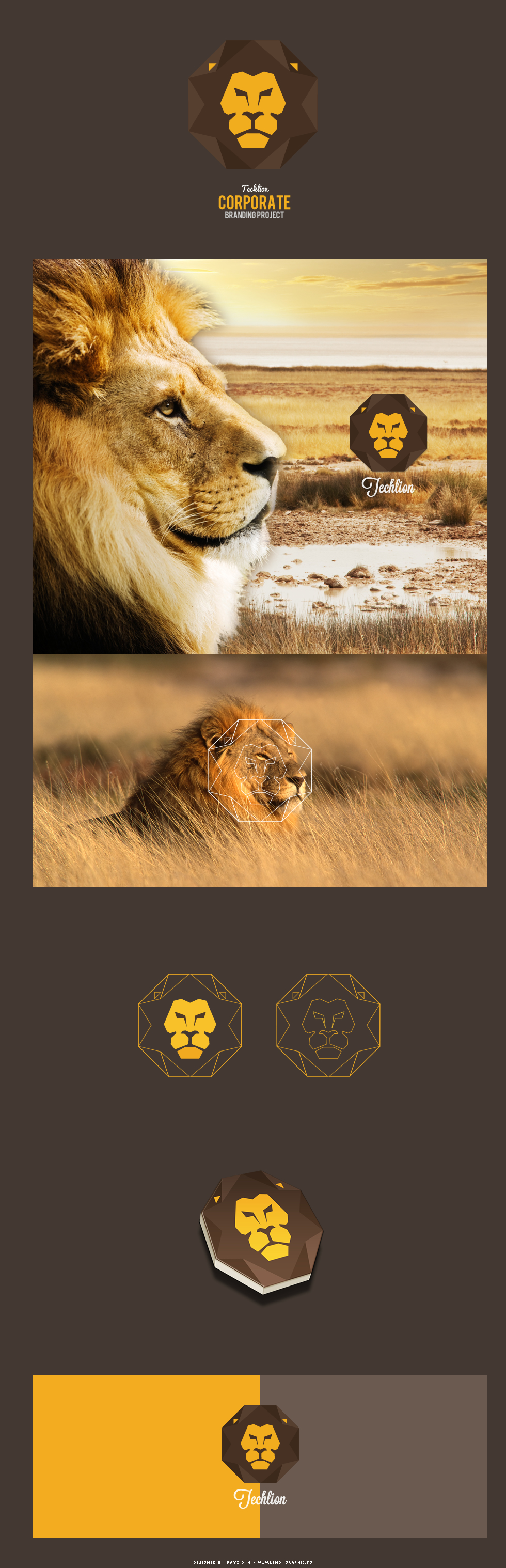 Techlion-corporate-branding-project-01