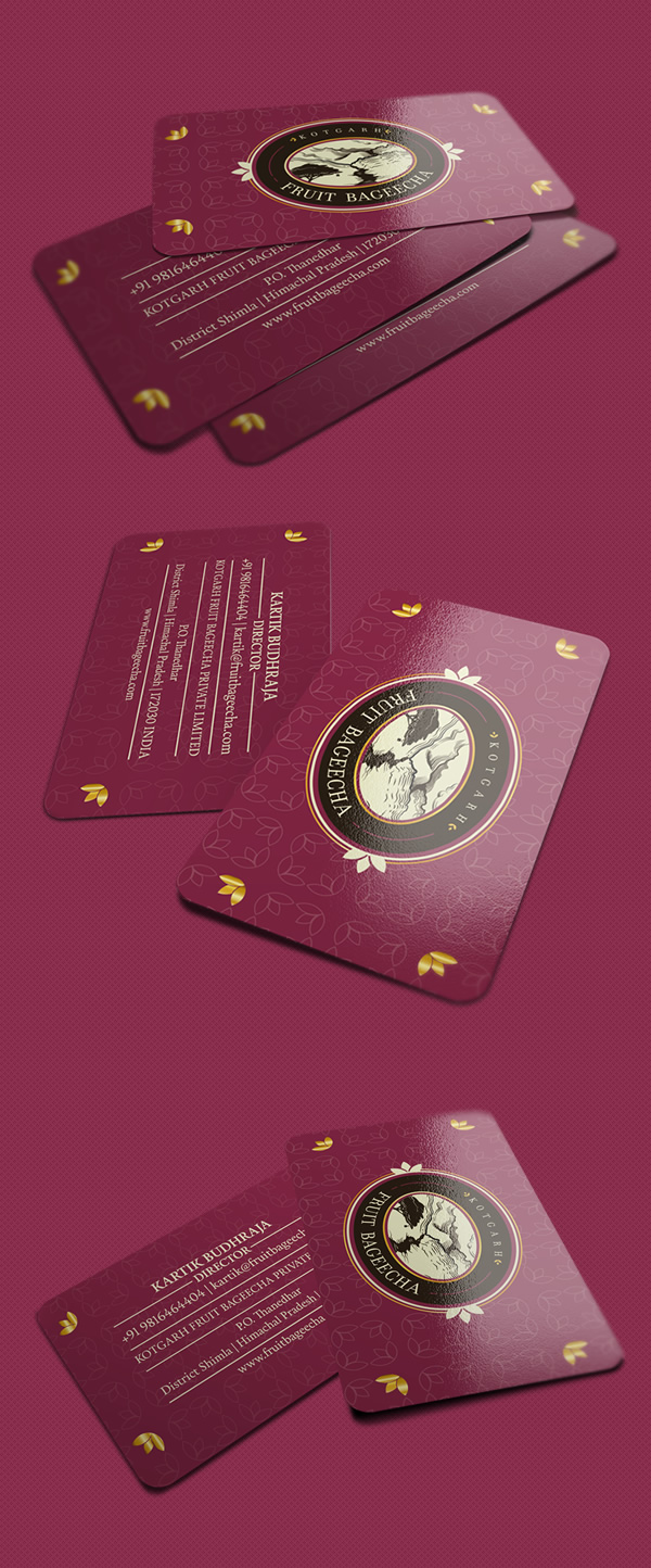 Fruit-bageecha-branding-business-card-design-03
