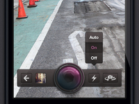 Camera interface in the works 