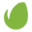 Envato