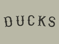 Ducks_teaser