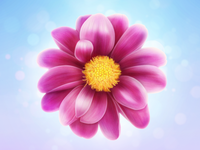 Flower_teaser