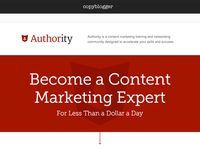 Authority - Sales page