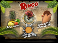 Flash Website "Ringo"