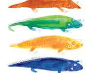 Lizards!