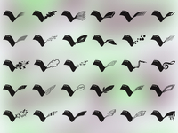 Israeli-student-film-festival-birds_teaser