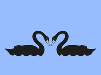 Black Swan Couple