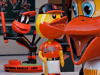 Camden Yards - Birds Of Baltimore
