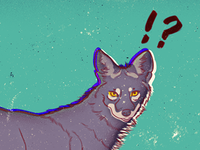 Coyote__teaser