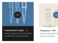 Client Work: View Publication and Resources