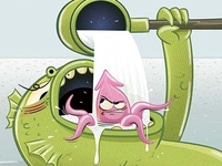 liquid