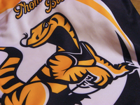 Eastlake Goannas (2010)