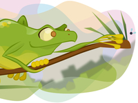 Tree frog