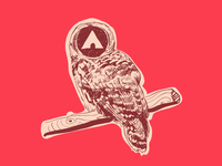 Airwalk Owl